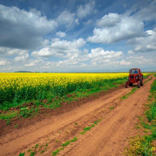 części do siewnika Amazone