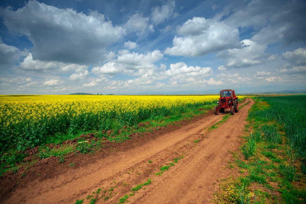 części do siewnika Amazone