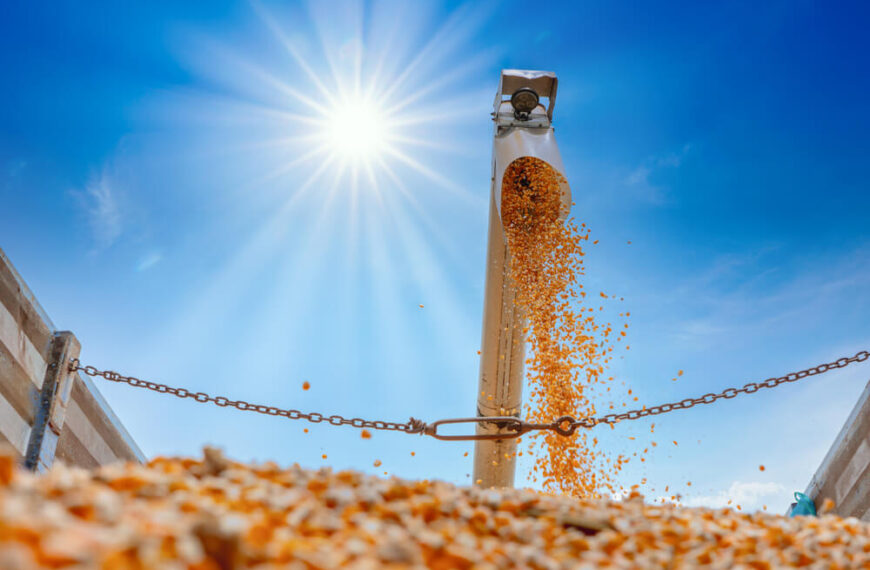 leśna przyczepa waryński