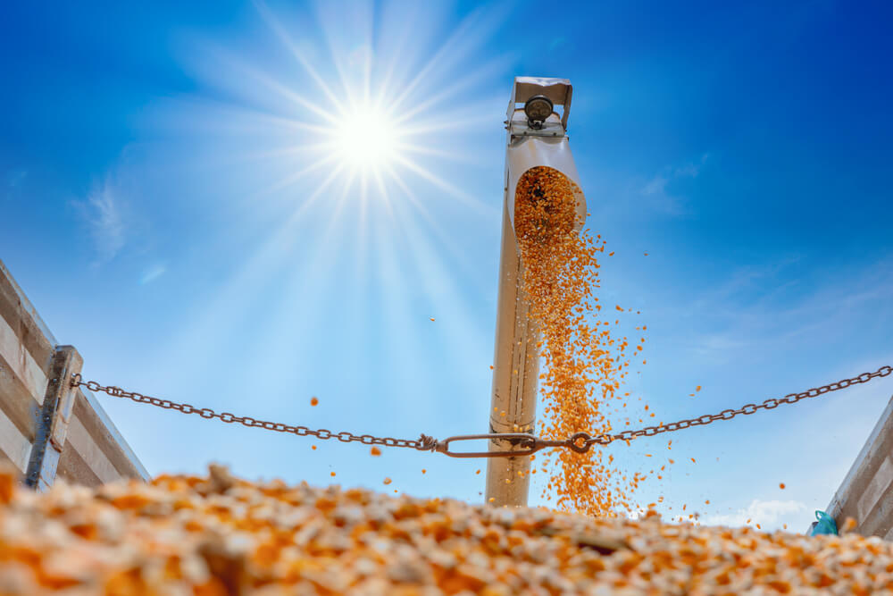 leśna przyczepa waryński